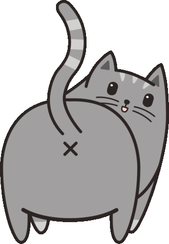 404 animation